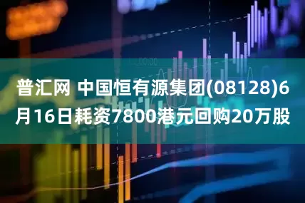普汇网 中国恒有源集团(08128)6月16日耗资7800港元回购20万股