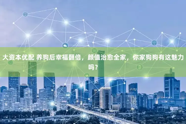大资本优配 养狗后幸福翻倍，颜值治愈全家，你家狗狗有这魅力吗？
