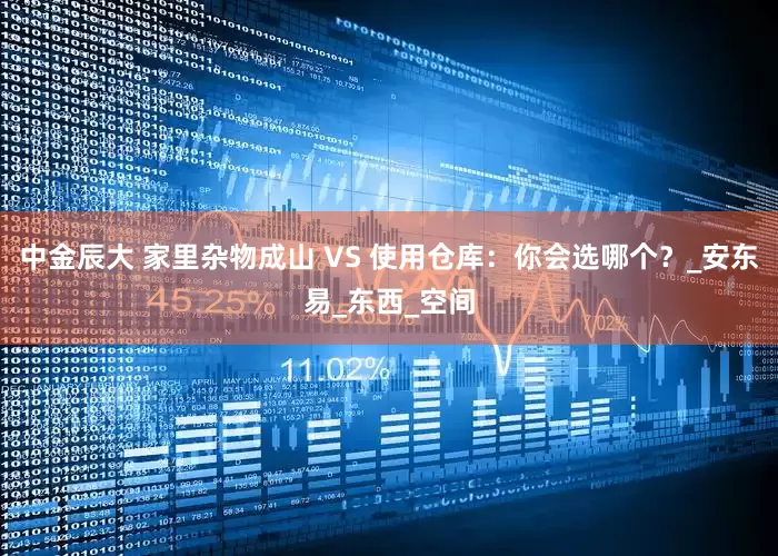 中金辰大 家里杂物成山 VS 使用仓库：你会选哪个？_安东易_东西_空间