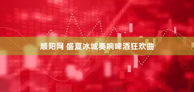 顺阳网 盛夏冰城奏响啤酒狂欢曲