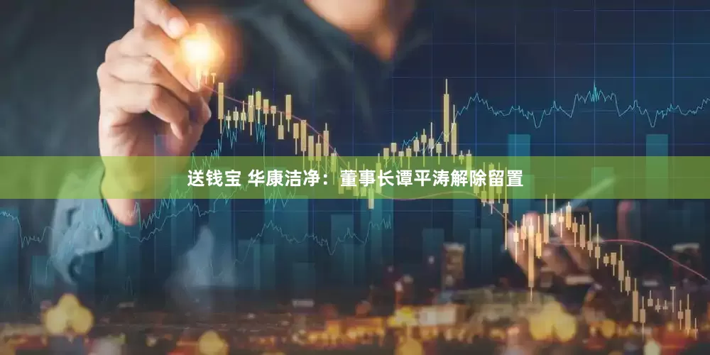 送钱宝 华康洁净：董事长谭平涛解除留置