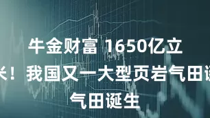 牛金财富 1650亿立方米！我国又一大型页岩气田诞生