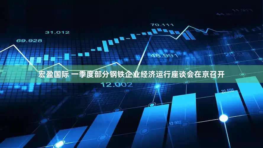 宏盈国际 一季度部分钢铁企业经济运行座谈会在京召开